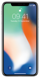 Замена дисплея (экрана) Apple iPhone X (10)